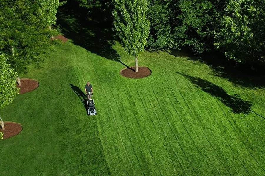 affordable lawn mowers